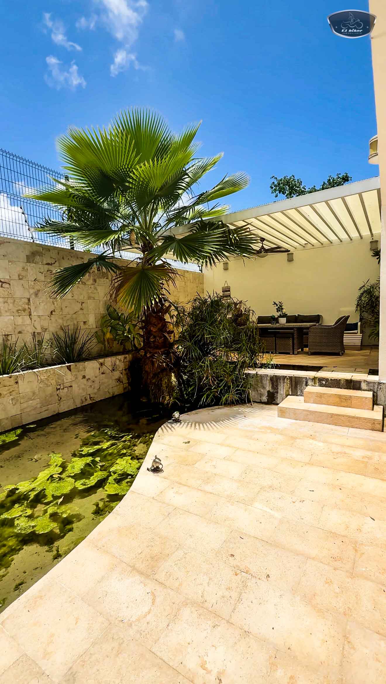 Terraza & Estanque